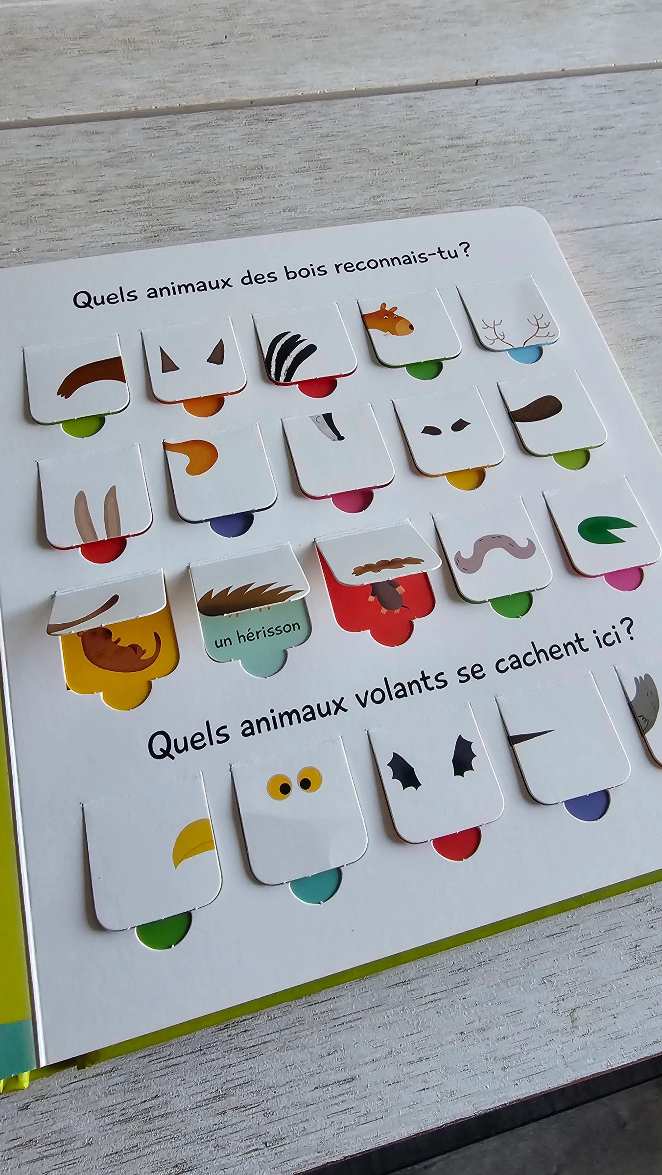 Livre 📙 'les animaux'  – photo 4